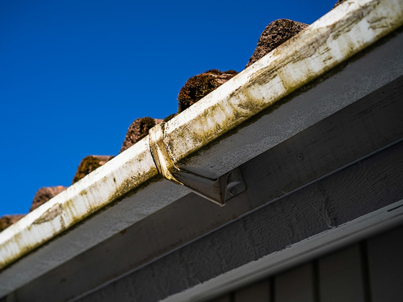 clean your guttering in bracknell valkyrie roofing gutter cleaning services